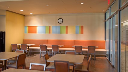 Springleaf Financial
