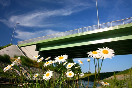Bridge over Sitniczanka river