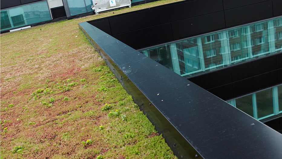 Gröna Skrapan Gröna Skrapan